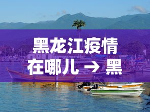 黑龙江疫情在哪儿 → 黑龙江疫情在哪儿发现的