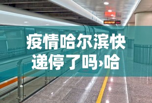 疫情哈尔滨快递停了吗›哈尔滨快递疫情管控