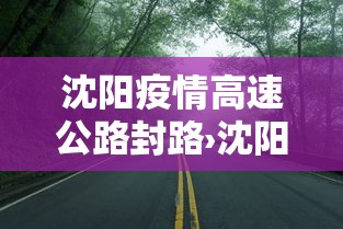沈阳疫情高速公路封路›沈阳高速公路封没