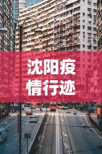 沈阳疫情行迹图最新：沈阳疫情行迹图最新地图