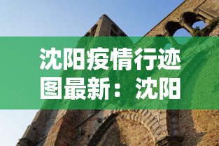 沈阳疫情行迹图最新：沈阳疫情行迹图最新地图