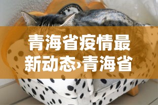 青海省疫情最新动态›青海省疫情情况