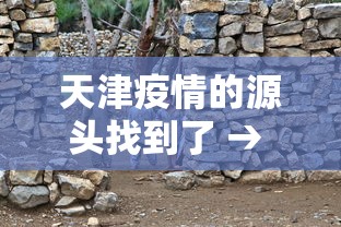 天津疫情的源头找到了 → 天津疫情哪来的