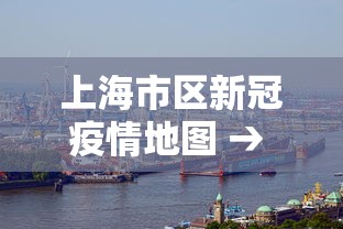 上海市区新冠疫情地图 → 上海市疫情分布情况