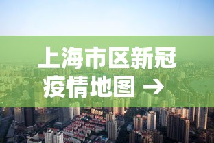 上海市区新冠疫情地图 → 上海市疫情分布情况