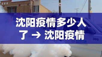 沈阳疫情多少人了 → 沈阳疫情有多少例今天增加了吗?