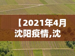 【2021年4月沈阳疫情,沈阳2021年1月4日疫情新增病例行踪】 【2021年4月沈阳疫情,沈阳2021年1月4日疫情新增病例行踪】