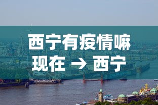 西宁有疫情嘛现在 → 西宁有役情吗 西宁有疫情嘛现在 → 西宁有役情吗