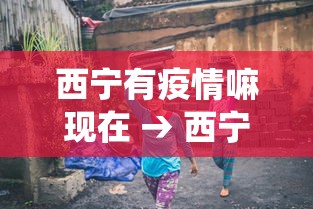 西宁有疫情嘛现在 → 西宁有役情吗
