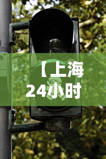 【上海24小时疫情电话·上海疫情咨询电话12345】