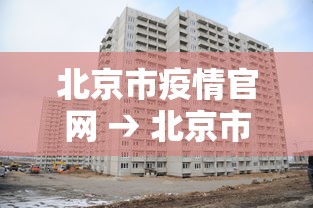北京市疫情官网 → 北京市疫情公告