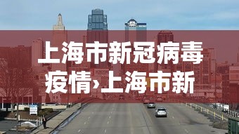 上海市新冠病毒疫情›上海市新冠肺炎疫情
