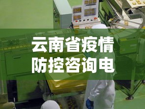 云南省疫情防控咨询电话 → 云南疫情防控电话咨询方式