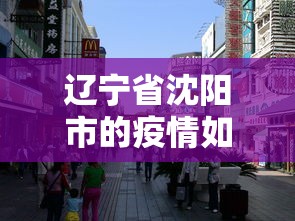辽宁省沈阳市的疫情如何›辽宁省沈阳市疫情严重吗