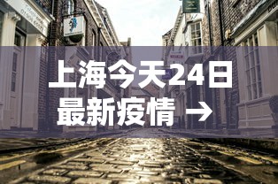 上海今天24日最新疫情 → 最新上海疫情24号