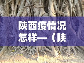 陕西疫情况怎样—（陕西疫情咋样）