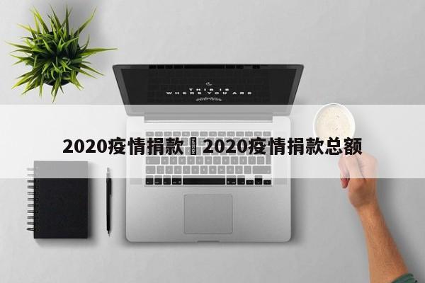 2020疫情捐款›2020疫情捐款总额