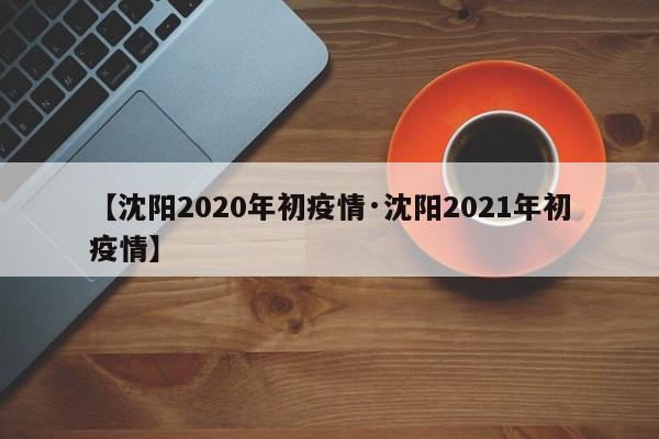 【沈阳2020年初疫情·沈阳2021年初疫情】