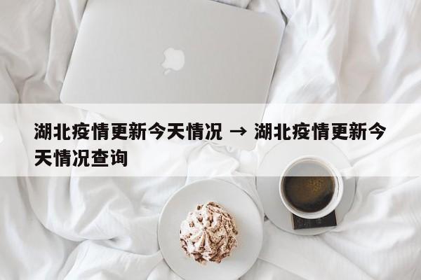 湖北疫情更新今天情况 → 湖北疫情更新今天情况查询