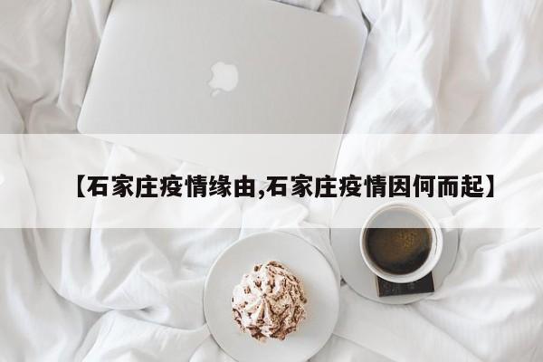 【石家庄疫情缘由,石家庄疫情因何而起】