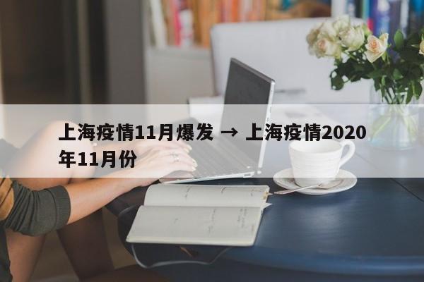上海疫情11月爆发 → 上海疫情2020年11月份