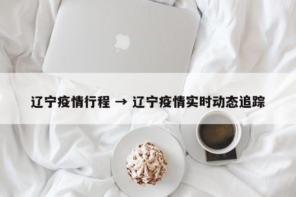 辽宁疫情行程 → 辽宁疫情实时动态追踪