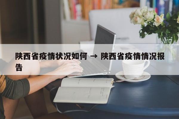 陕西省疫情状况如何 → 陕西省疫情情况报告