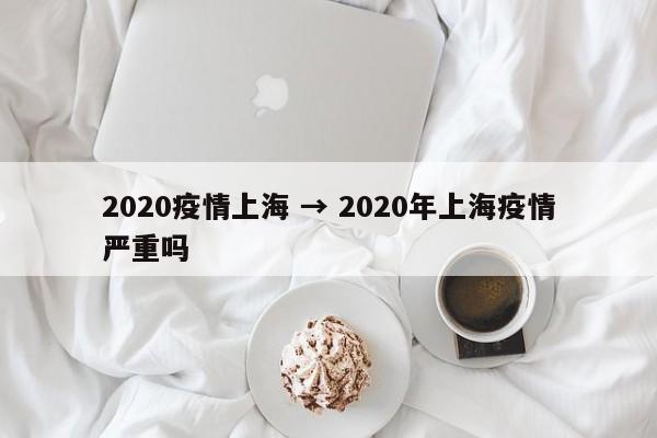 2020疫情上海 → 2020年上海疫情严重吗