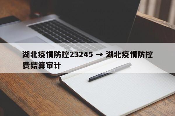 湖北疫情防控23245 → 湖北疫情防控费结算审计