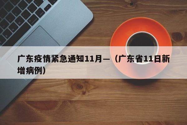 广东疫情紧急通知11月—(广东省11日新增病例)