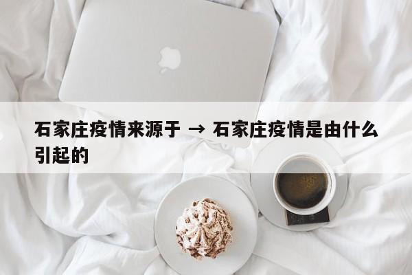 石家庄疫情来源于 → 石家庄疫情是由什么引起的