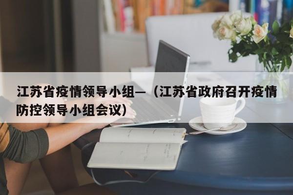 江苏省疫情领导小组—(江苏省政府召开疫情防控领导小组会议)